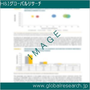 グローバルリサーチ調査レポートのイメージ
